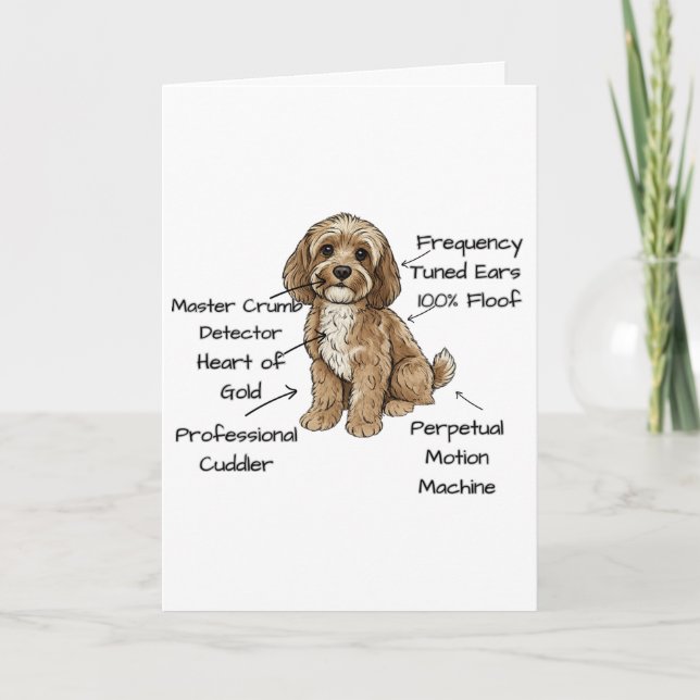 Rolig Cockapoo Anatomi Grattkort Kort (Framsida)