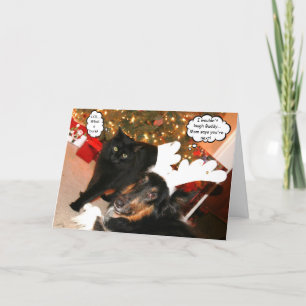 Rolig collie- & svartkattjulkort 2 helgkort