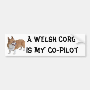 Rolig Corgi Bildekal