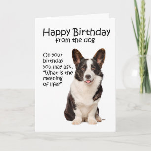 Rolig Corgi Födelsedagskort Kort