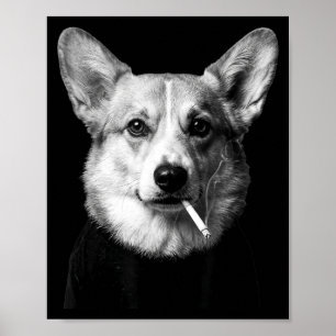 Rolig corgi hund röker meme röker hund cigarett poster