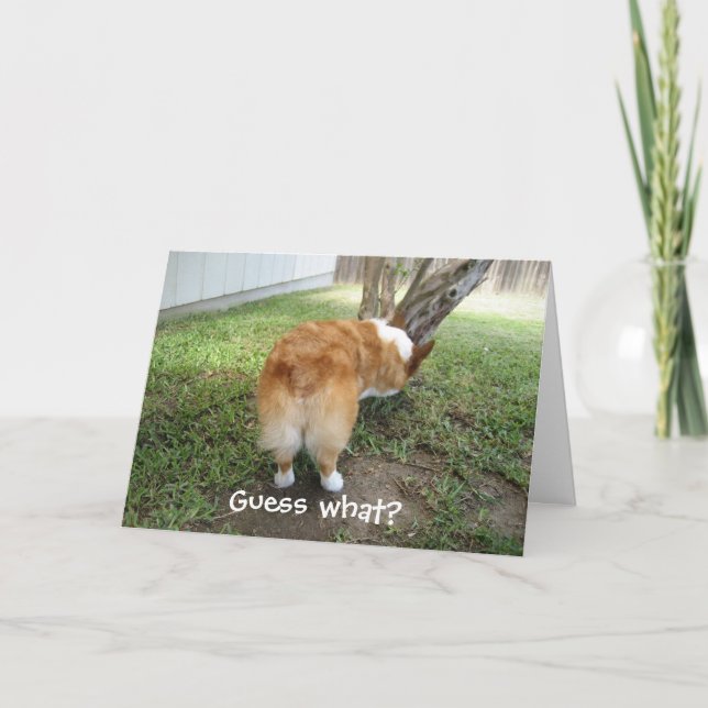 Rolig Corgi Kort (Framsida)