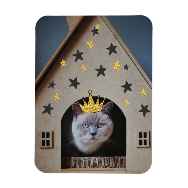 Rolig Cranky Krabbig Katt Fotografi Söt Kattälskar Magnet (Vertikal)
