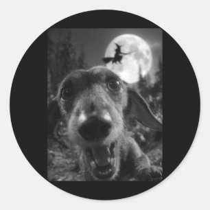 Rolig Dachshund Selfie Fullmåne Flygande Häxa Runt Klistermärke