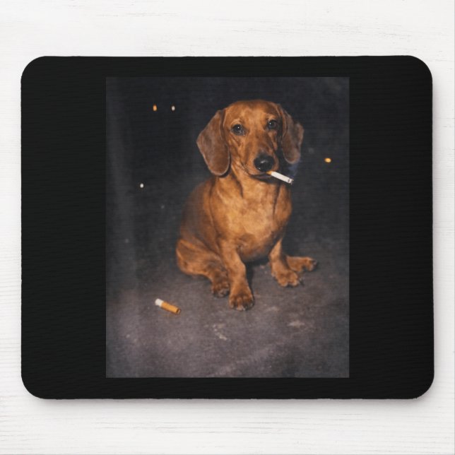 Rolig dachshund som röker meme cigarethund meme musmatta (Framsidan)