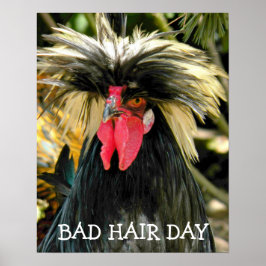 Rolig Dålig Hårdag Kyckling Meme Poster