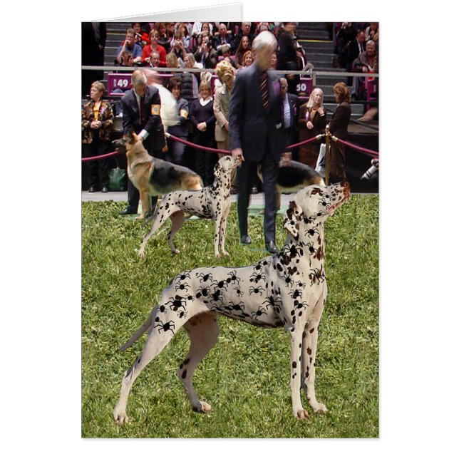 Rolig Dalmatian Showhund Hälsningskort (Framsidan)