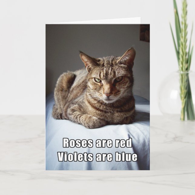 Rolig dikt för valentinkatt helgkort (Framsida)