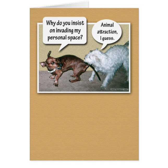 Rolig djur attraktion hälsningskort (Framsidan)