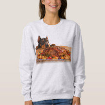 Rolig Doberman som spanar på rostbiff