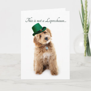 Rolig Doodle St. Patricks dag Kort