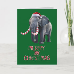 Rolig elefant jul firande kort