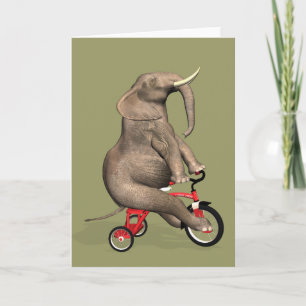 Rolig elefant som rider en trehjuling kort