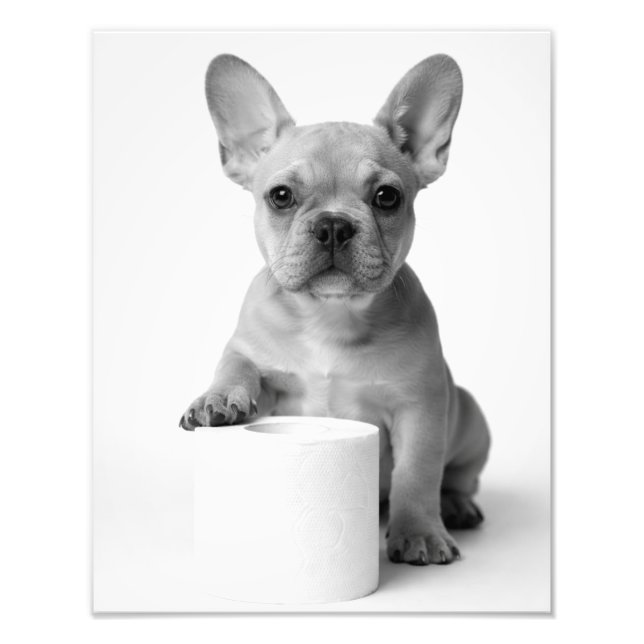 Rolig Estetisk Fransk Bulldog Toalettpapper Foto (Framsidan)