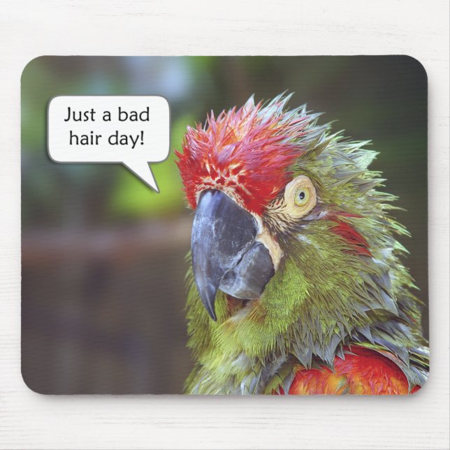 Rolig fågel Mousepad Musmatta (Framsidan)