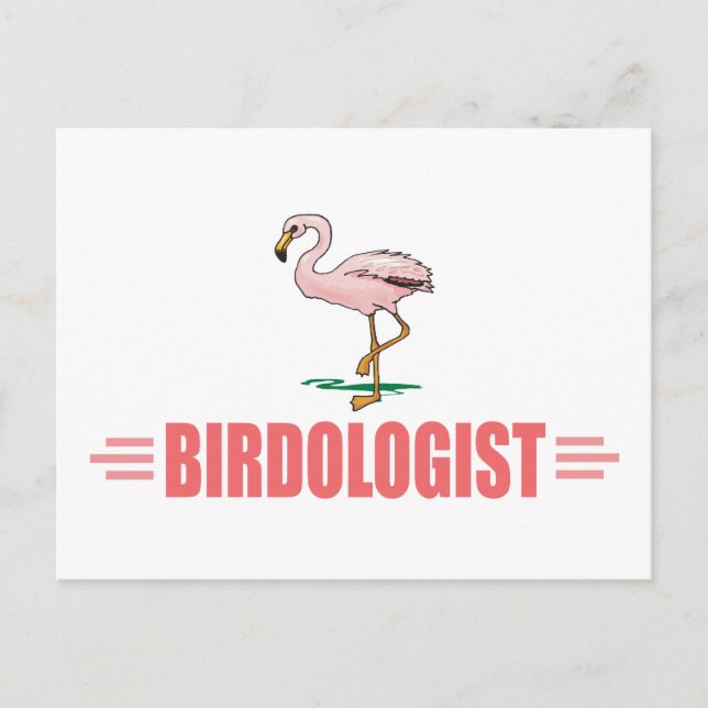 Rolig Fågelskådning Flamingo Vykort (Framsida)