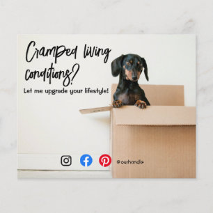 rolig fastighetsaffisch trångt boende hund flyer