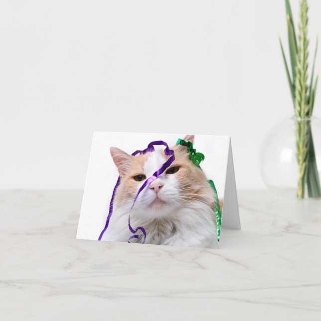 Rolig festkatt  kort (Framsida)