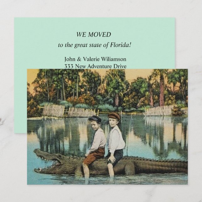 Rolig Florida Alligator Flyttningsannons (Fram/baksida)