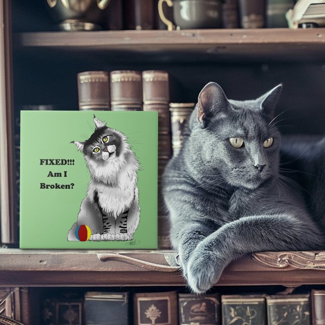 Rolig Fluffig Maine Coon Katt Grön Humor Kakelplatta (Skapare uppladdad)