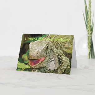 Rolig födelsedag för leguan kort