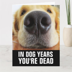 ROlig FÖDELSEDAGSKORT FÖR HUND Kort