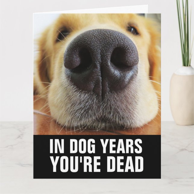 ROlig FÖDELSEDAGSKORT FÖR HUND Kort (Framsida)