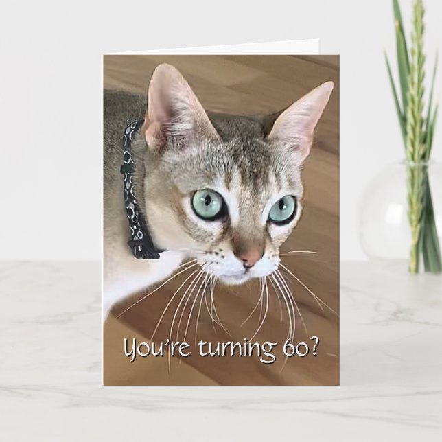 Rolig födelsedagskort för katt 60 år kort (Framsida)