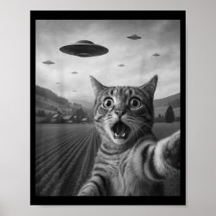 Rolig Förvånad Ed Katt Selfie Med Utomjording Ufo Poster