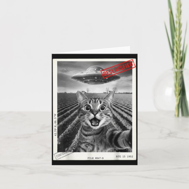 Rolig Förvånad Katt Meme Män Katt Selfie Ufo Utomj Kort (Framsida)