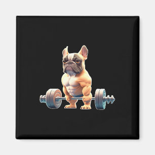 Rolig fransk bulldogg bodybuilding gym Frenchie We Magnet