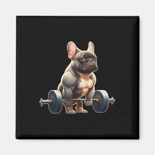 Rolig fransk bulldogg bodybuilding gym Frenchie We Magnet