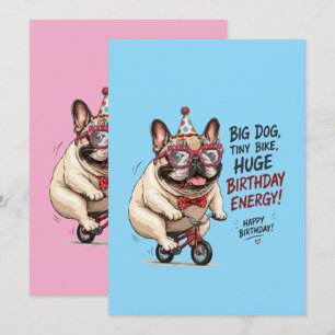 Rolig fransk bulldogg födelsedags cykel fest