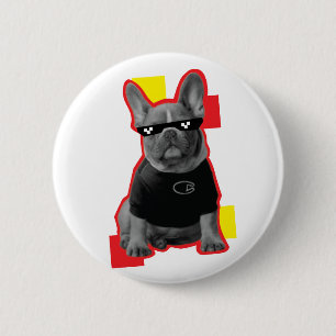 Rolig fransk bulldogg med pixel-solglasögon knapp 
