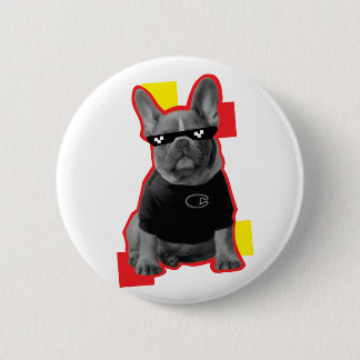Rolig fransk bulldogg med pixel-solglasögon knapp 