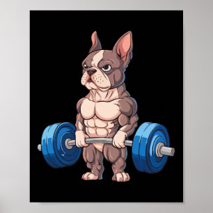 Rolig fransk bulldogg tyngdlyftning bodybuilding k poster