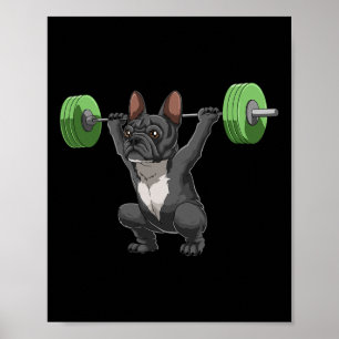 Rolig fransk bulldogg tyngdlyftning och bodybuildi poster