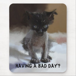 Rolig ful kattunge Mousepads Musmatta