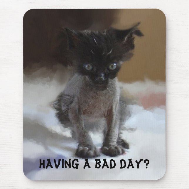 Rolig ful kattunge Mousepads Musmatta (Framsidan)