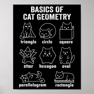 Rolig Fysik Av Kattgeometri Tillbaka Till Skolan M Poster