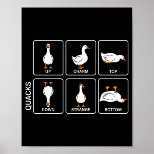 Rolig fysik pun duck kvackar meme söt gås poster