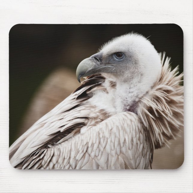 Rolig gamfågel Mousepad Musmatta (Framsidan)