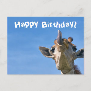 Rolig Giraff Glad Födelsedag Vykort