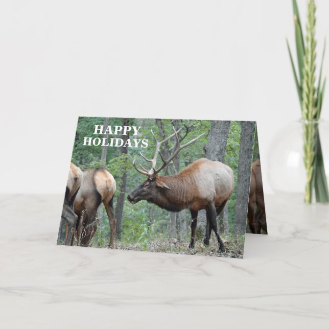 Rolig glad helgtjurälg i brunst helgkort (Framsida)