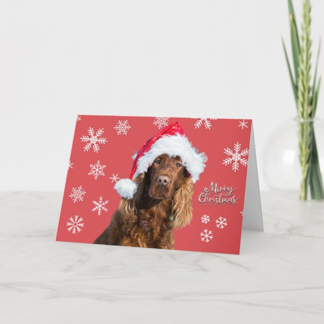 Rolig Glad jul hund i tomtens mössa Högtid  Kort (Framsida)
