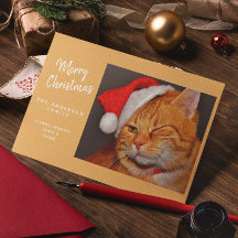 Rolig God Jul Orange Katt med Tomte Hatt