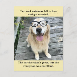 Rolig Golden Retriever Bröllopsfest Skämt Meme Meddelande Vykort