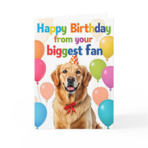 Rolig Golden Retriever Hund Glad Födelsedag