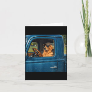 Rolig golden retriever meme hund kör gammal lastbi kort