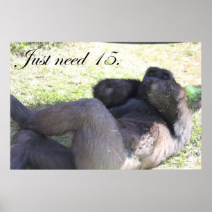 Rolig gorilla poster